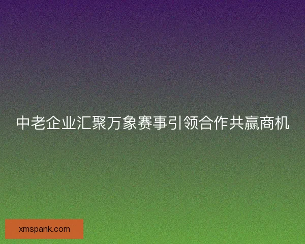 中老企业汇聚万象赛事引领合作共赢商机
