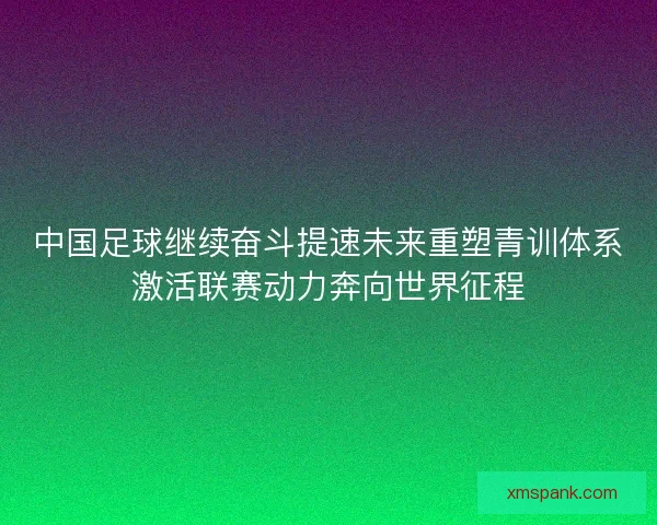 中国足球继续奋斗提速未来重塑青训体系激活联赛动力奔向世界征程